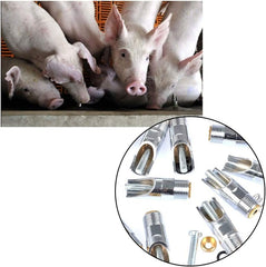 Stainless Steel Automatic Drinker for Piglets